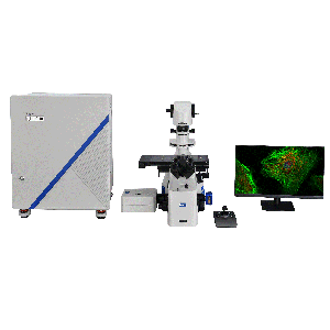 Fluorescence Microscope